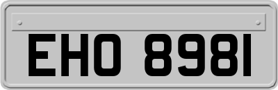 EHO8981