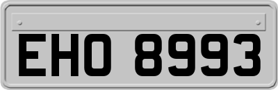 EHO8993