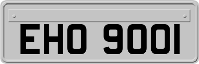 EHO9001