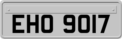 EHO9017