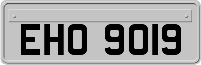 EHO9019
