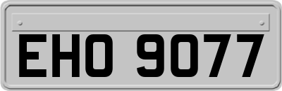 EHO9077
