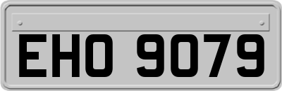 EHO9079