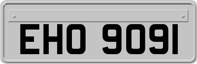 EHO9091
