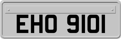 EHO9101