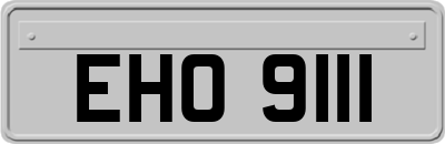 EHO9111