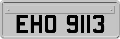 EHO9113
