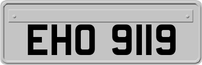 EHO9119
