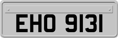 EHO9131