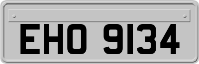 EHO9134