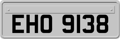 EHO9138