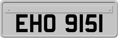 EHO9151