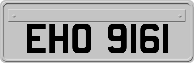 EHO9161