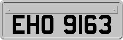 EHO9163