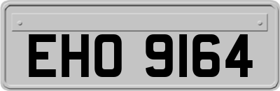 EHO9164