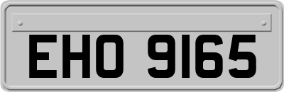 EHO9165