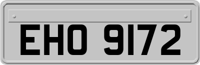 EHO9172
