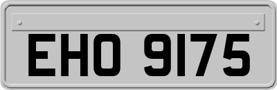 EHO9175