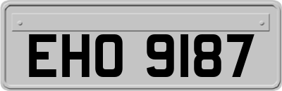 EHO9187