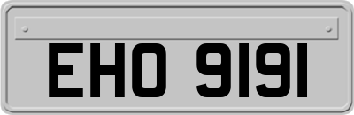 EHO9191