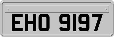 EHO9197