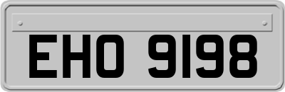 EHO9198