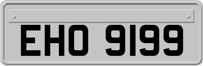 EHO9199