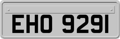 EHO9291