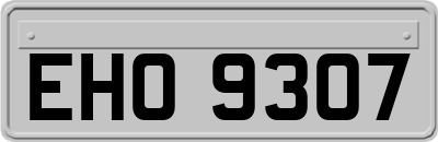 EHO9307