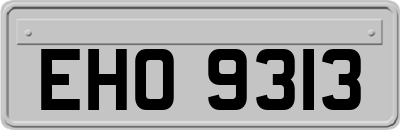EHO9313
