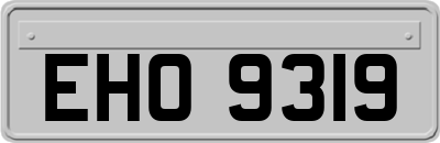 EHO9319