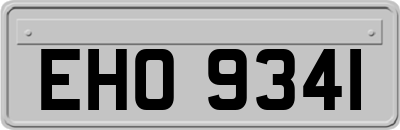EHO9341