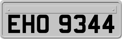 EHO9344