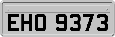 EHO9373
