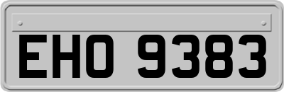 EHO9383