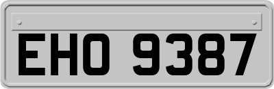 EHO9387
