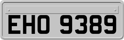 EHO9389