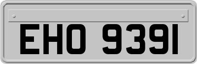 EHO9391