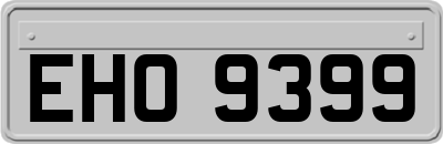 EHO9399