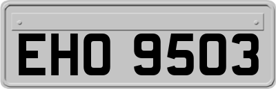 EHO9503