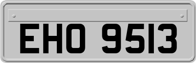 EHO9513