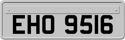 EHO9516