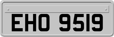 EHO9519