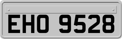 EHO9528