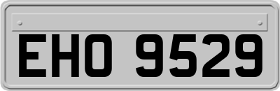 EHO9529
