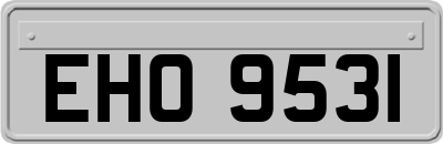 EHO9531
