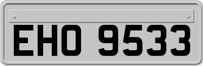 EHO9533