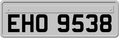 EHO9538