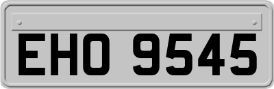 EHO9545