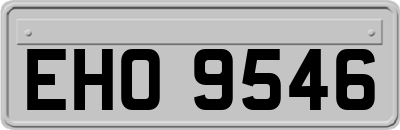 EHO9546